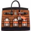 Hermes Birkin 20 Sellier Faubourg Brown Bag Limited Edition