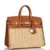 Hermes Birkin 25 Picnic Sellier Barenia Bag Limited Edition