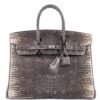 Hermes Birkin 25 Ombre Lizard Bag Limited Edition