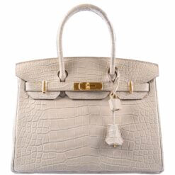 Hermes Birkin 25 Beton Matte Alligator Bag